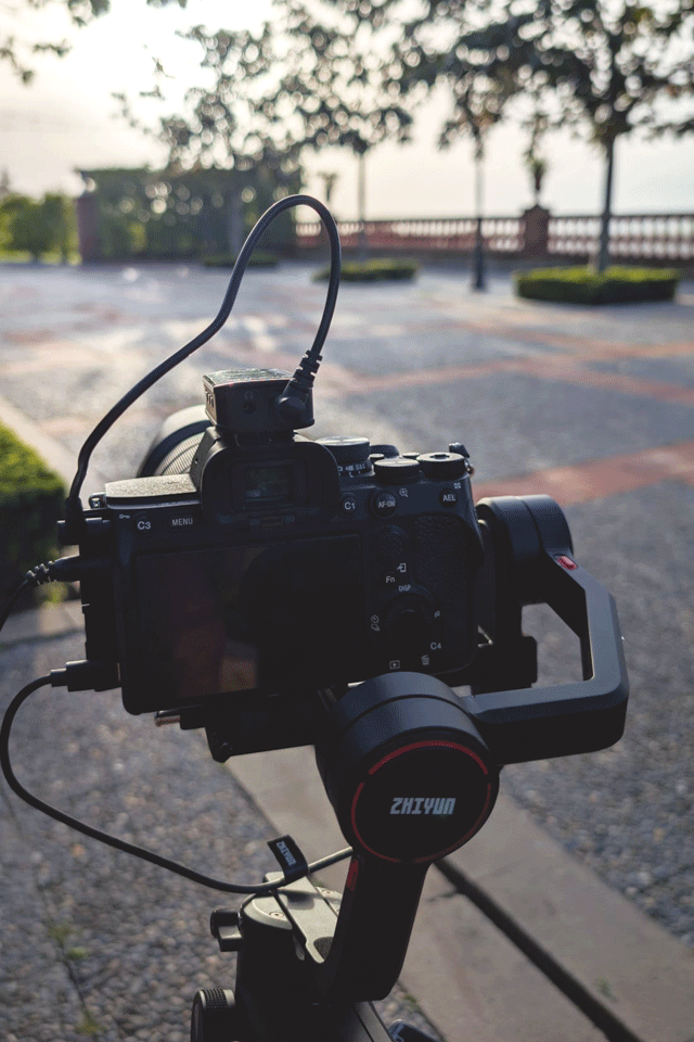 wallon camara wallon camara